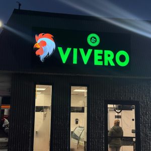 WhatsApp Image 2025-12-10 at 2.47.19 AM (1)